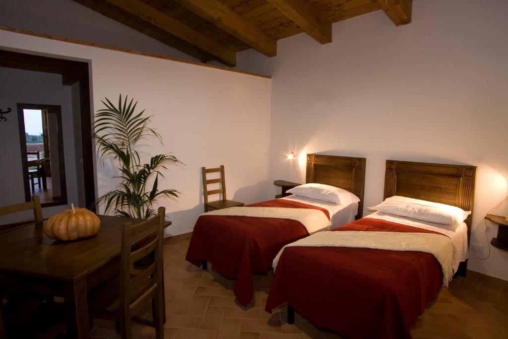 Podere 1248 Ladispoli Quarto foto